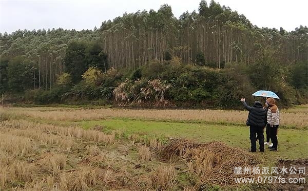 齐齐哈尔市陈老师带着爱徒寻龙点穴